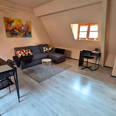 Spacious Loft - Quiet And Bright Apartamento Soultz-Haut-Rhin