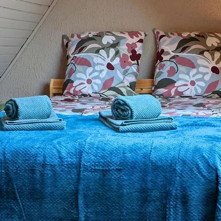 Spacious Loft - Quiet And Bright Apartamento Soultz-Haut-Rhin