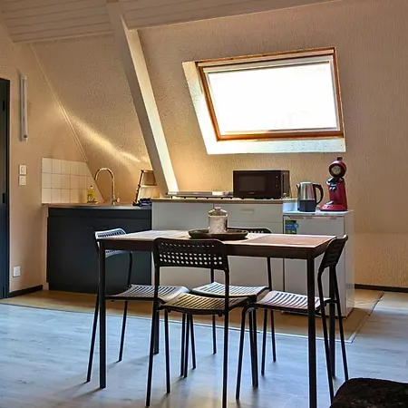 Spacious Loft - Quiet And Bright Apartamento Soultz-Haut-Rhin